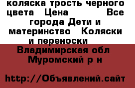 коляска трость черного цвета › Цена ­ 3 500 - Все города Дети и материнство » Коляски и переноски   . Владимирская обл.,Муромский р-н